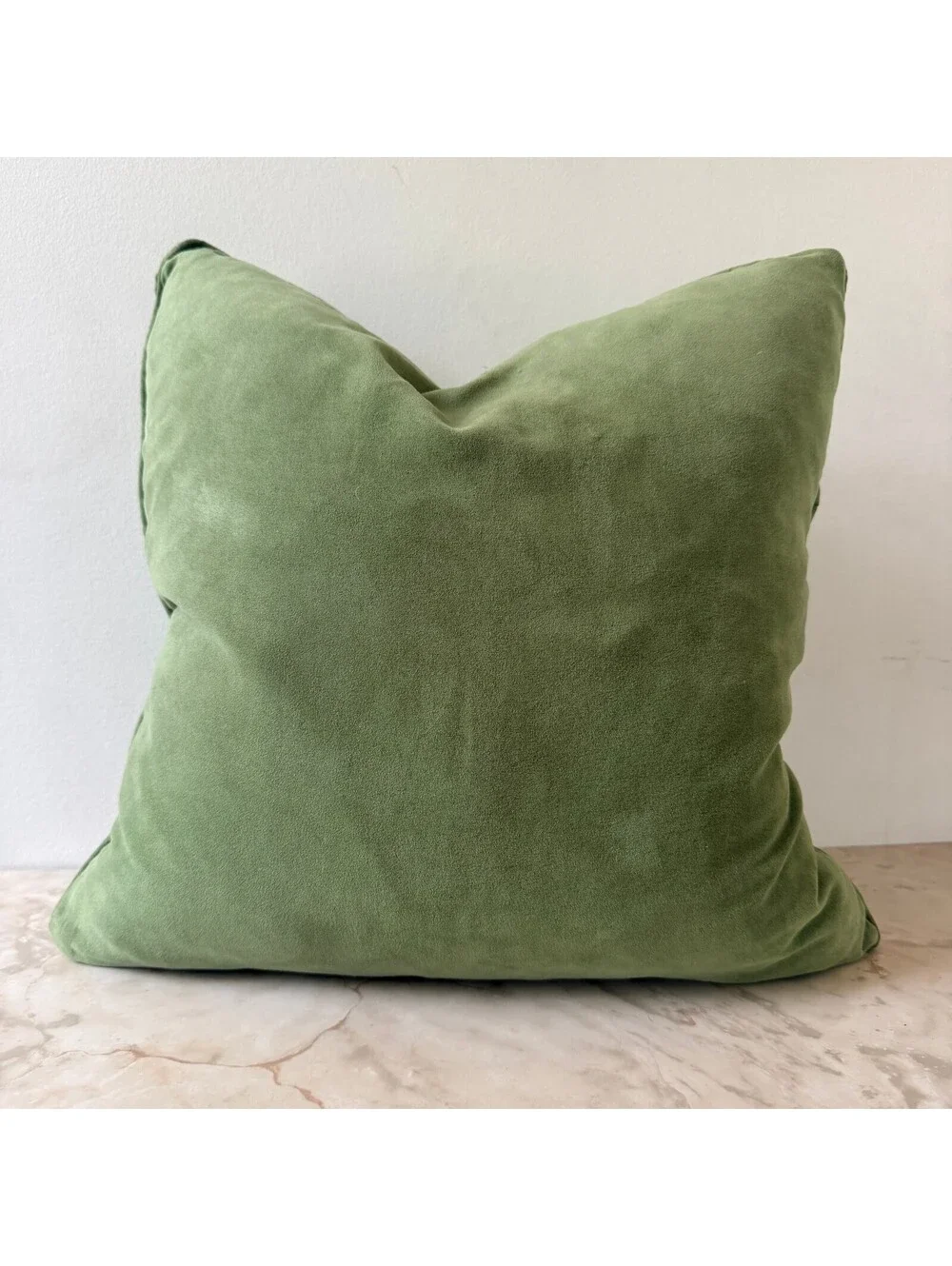 Green Down Feather Throw Pillow with Zipper Closure 17 inch Square Decorative